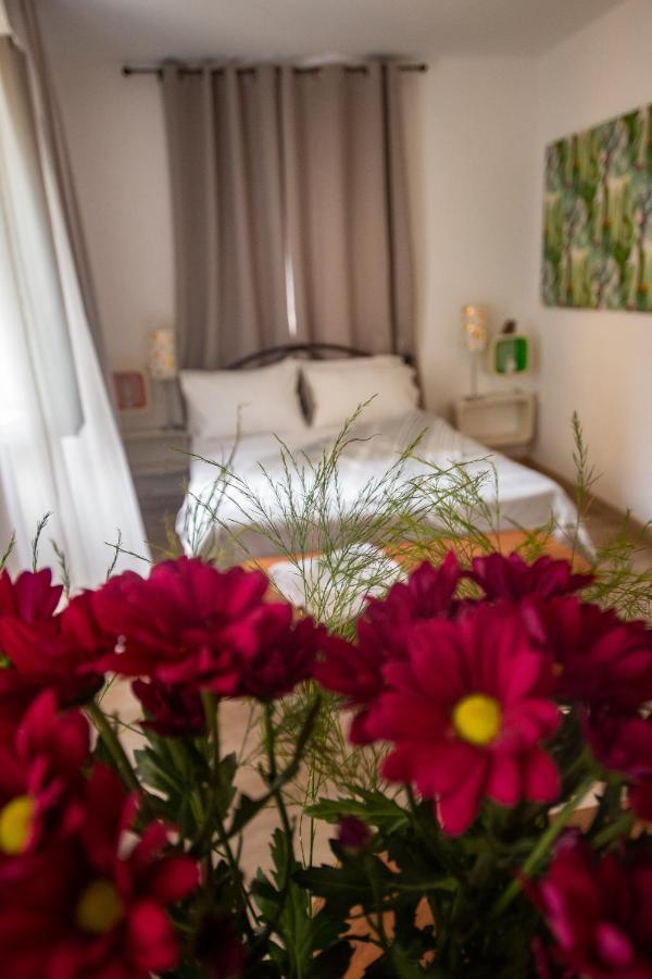 Summer Me - Luxury Suites And Apartments Corfu (city) Zewnętrze zdjęcie